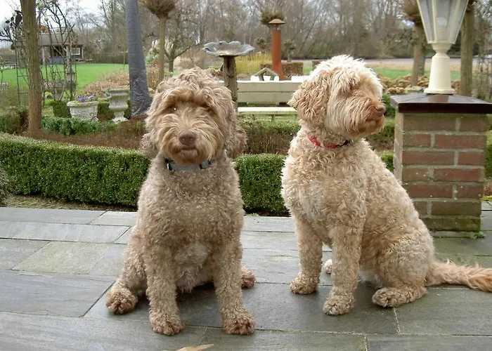 Het Zwaluwnest 69 Prázdninový dům